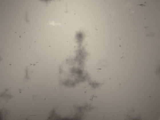 A swatch of antiqued mirror, its silvering broken into warm clouds and foxing.